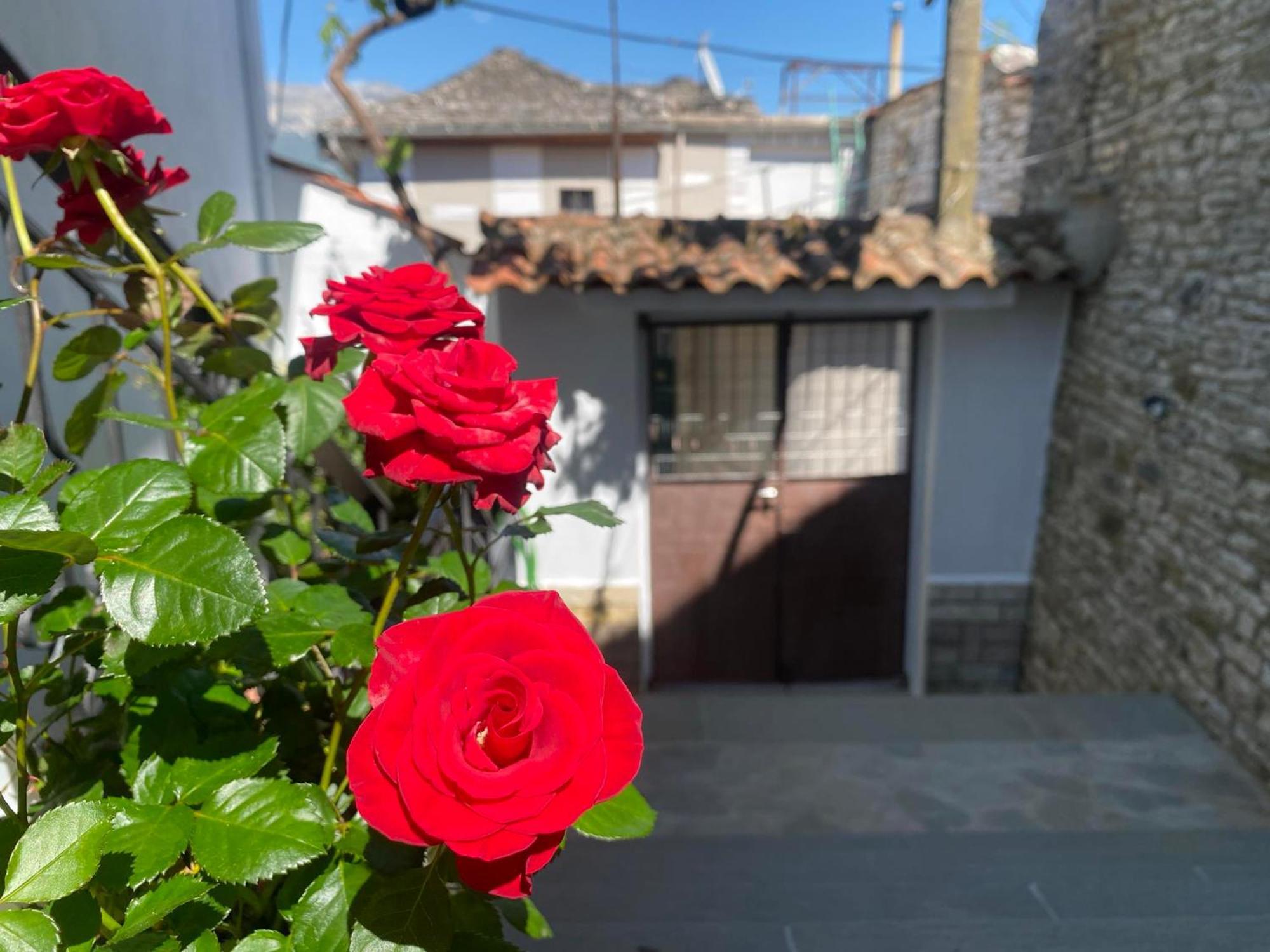 Guest House Persa Gjirokastër Exteriér fotografie